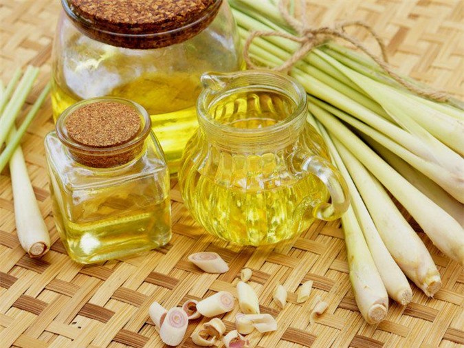 Top 5 tinh dầu đuổi muỗi hiệu quả và an toàn khi sử dụng