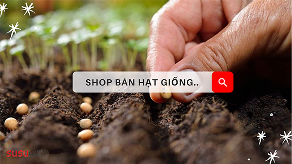 Top 5 shop bán hạt giống cây trông, dụng cụ làm vườn trên Lazada uy tín